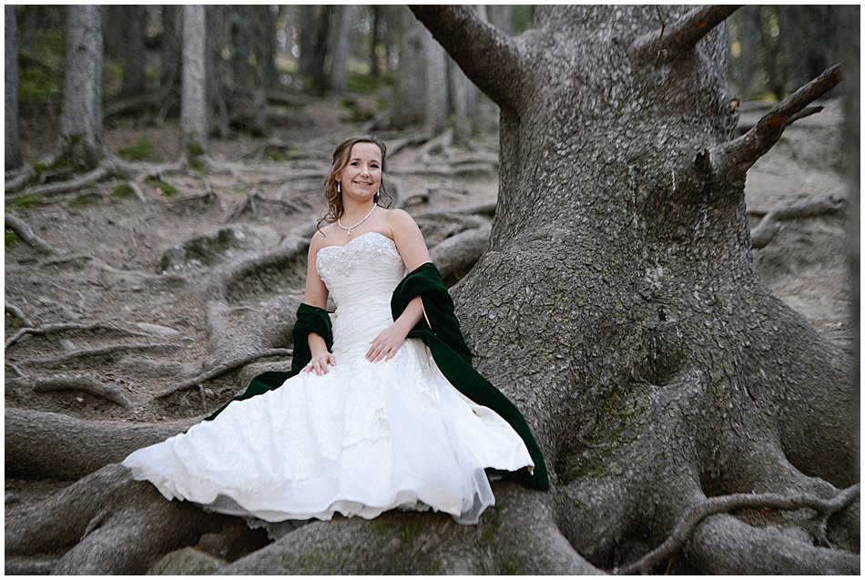 Cochrane Wedding Photo of Bride in front of Grandfather Tree